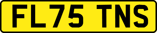 FL75TNS
