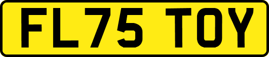 FL75TOY