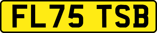 FL75TSB