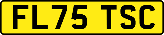FL75TSC