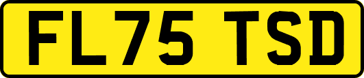 FL75TSD
