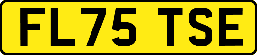 FL75TSE