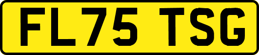 FL75TSG