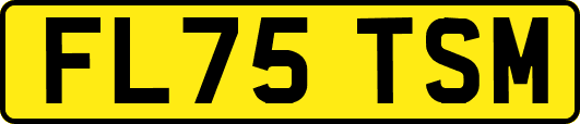 FL75TSM