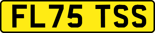FL75TSS