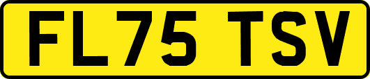 FL75TSV