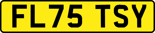 FL75TSY