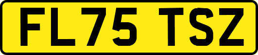 FL75TSZ