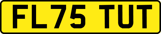 FL75TUT