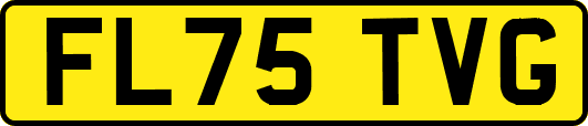 FL75TVG