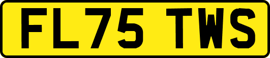 FL75TWS