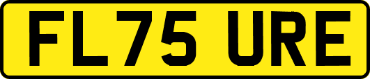 FL75URE