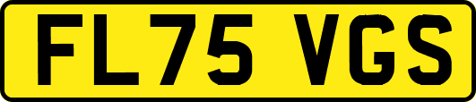 FL75VGS