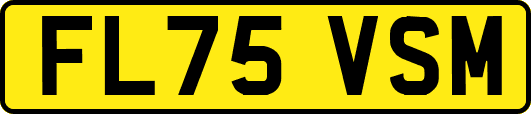 FL75VSM