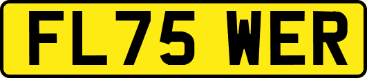 FL75WER