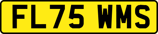 FL75WMS