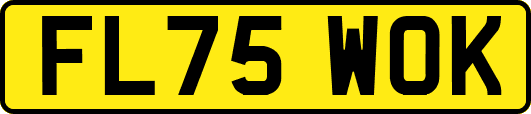 FL75WOK