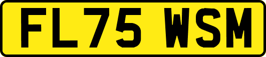 FL75WSM