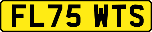 FL75WTS