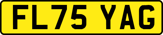 FL75YAG