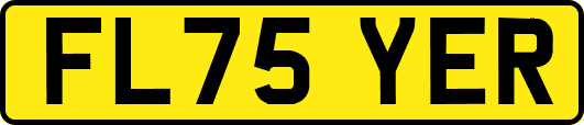 FL75YER