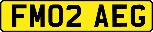 FM02AEG