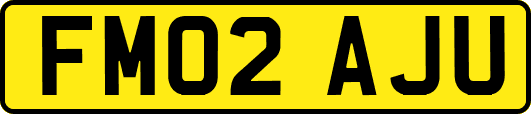 FM02AJU