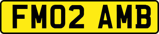 FM02AMB