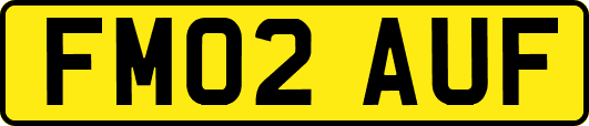 FM02AUF