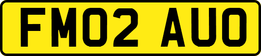 FM02AUO