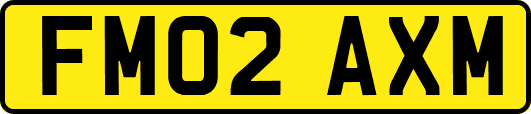 FM02AXM