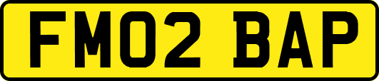FM02BAP