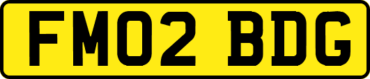FM02BDG
