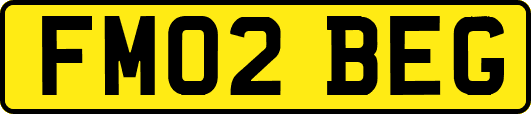 FM02BEG