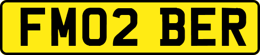 FM02BER