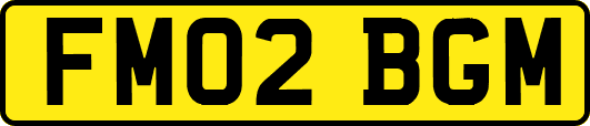 FM02BGM