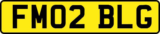 FM02BLG
