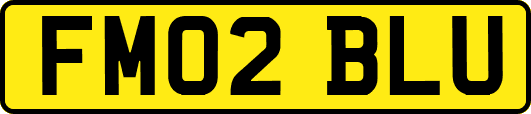 FM02BLU