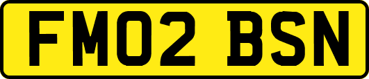 FM02BSN