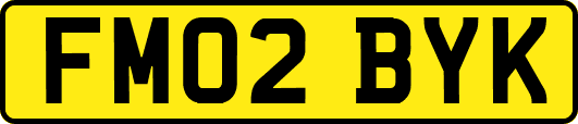 FM02BYK