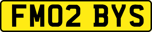 FM02BYS