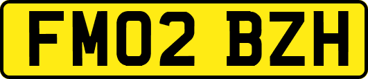 FM02BZH