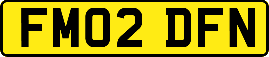 FM02DFN