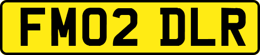 FM02DLR