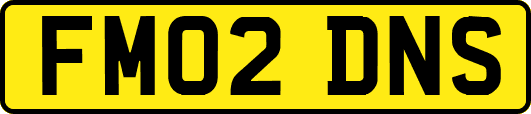 FM02DNS