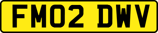 FM02DWV