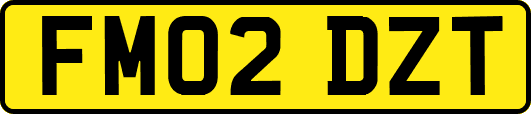 FM02DZT