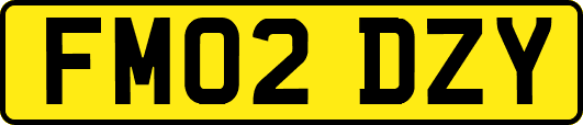 FM02DZY