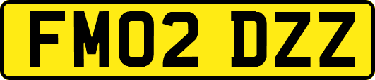FM02DZZ