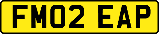 FM02EAP